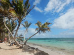 vacances en Martinique, plage de Cap Chevalier